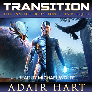 Transition audiobook Image